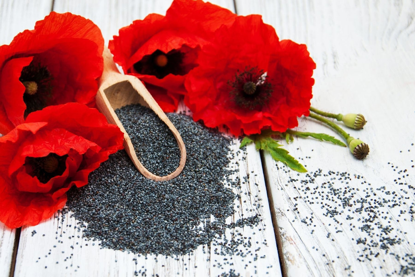 Poppy Seed Oil