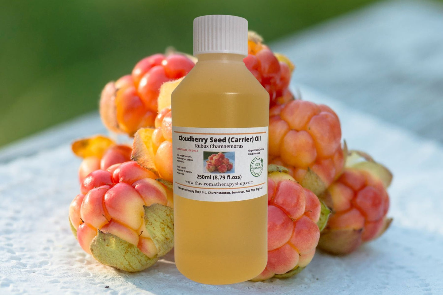 Cloudberry Seed Oil - Organically crafted