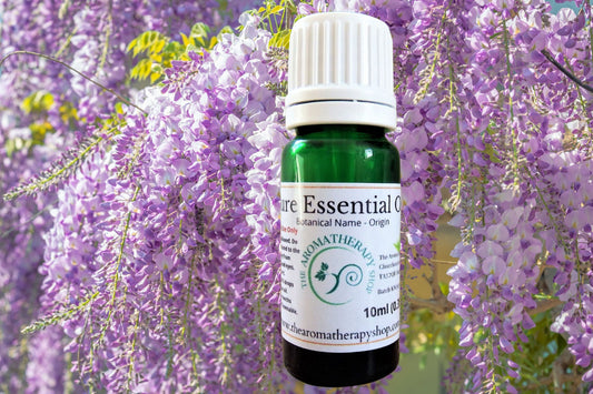 Wisteria Essential Oil / Origin Canada