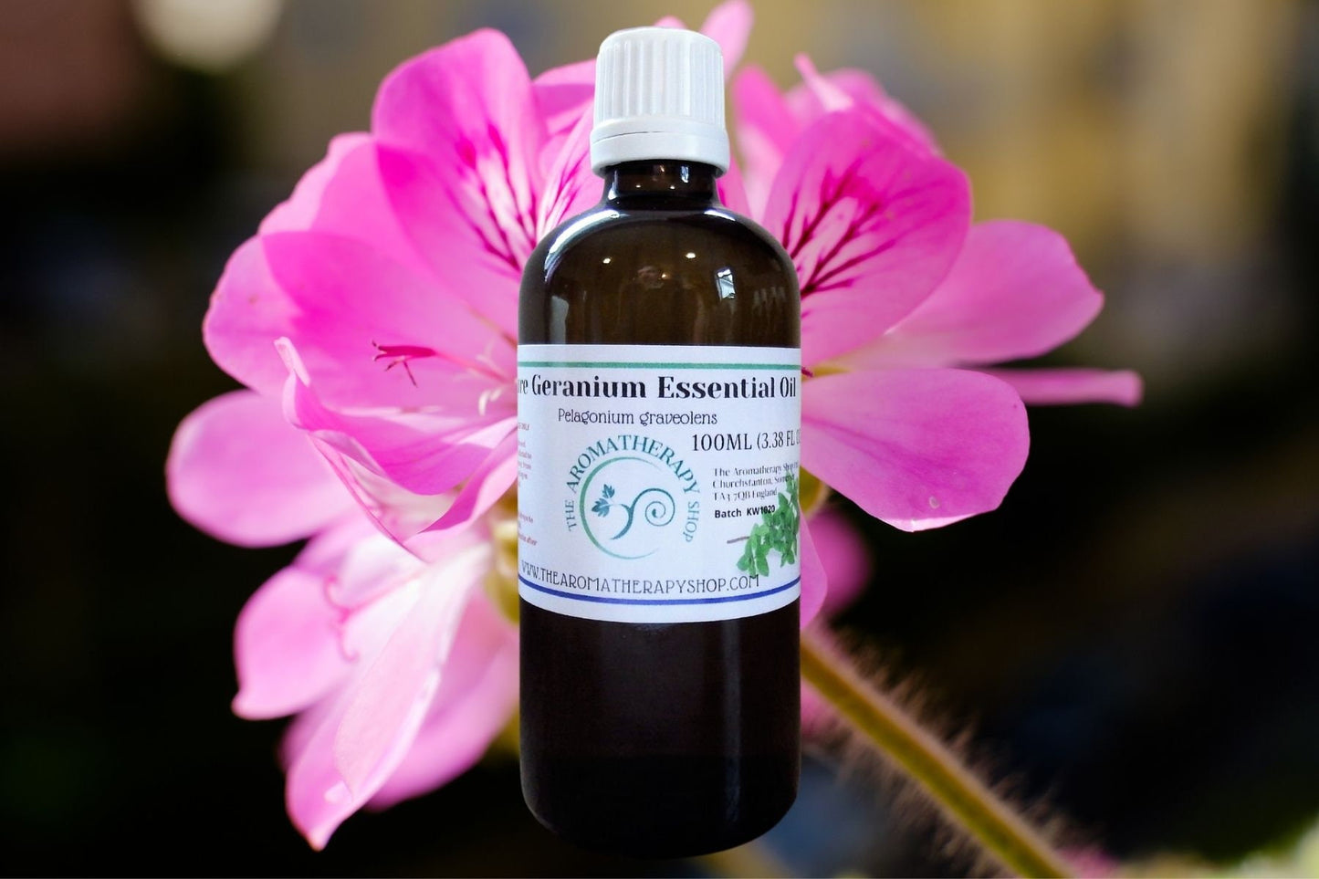Geranium Pure Essential Oil