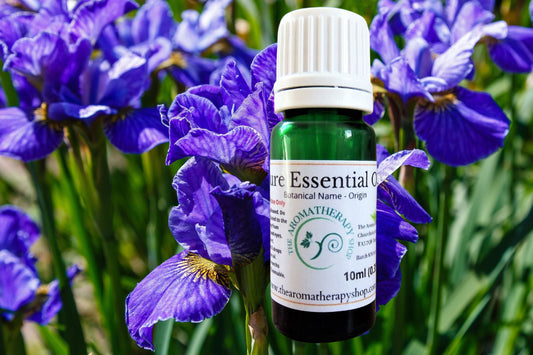 Siberian Iris Essential Oil /  Delicate powdery notes