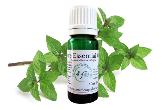 Peppermint Essential Oil / Organic (Origin: USA)