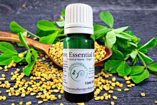 Fenugreek Seed Oil / Cold Pressed