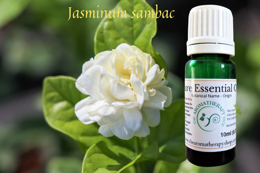 Jasmine Sambac Essential Oil