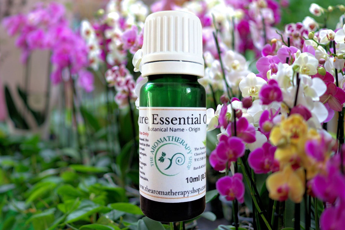 Orchid Essential Oil / Origin: South Asia