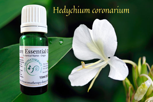 White Ginger Lily Pure Essential  Oil