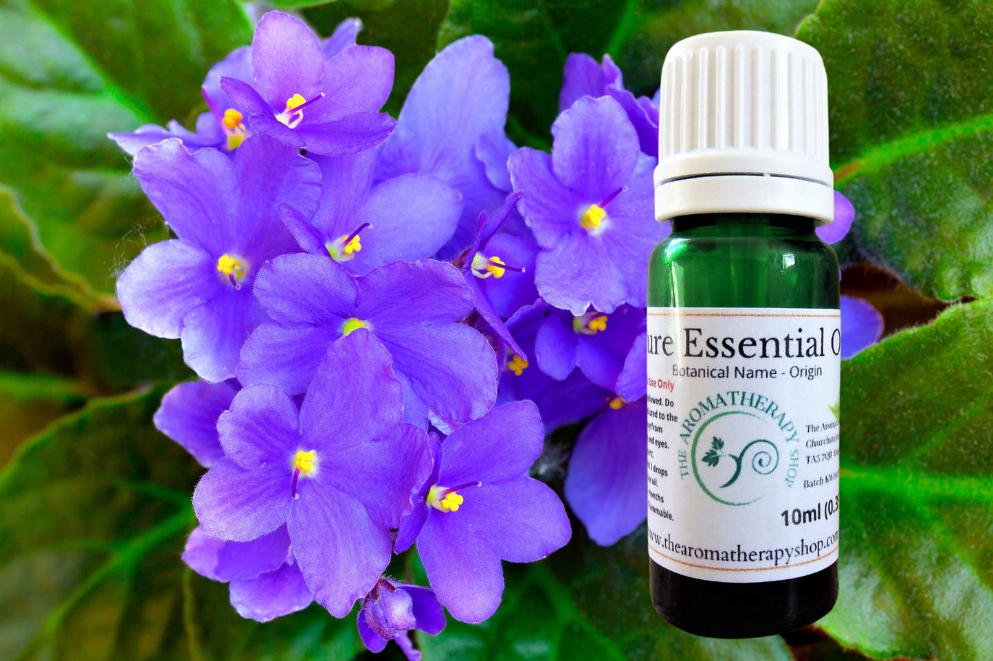 Violet Leaf Essential Oil / Origin Egypt