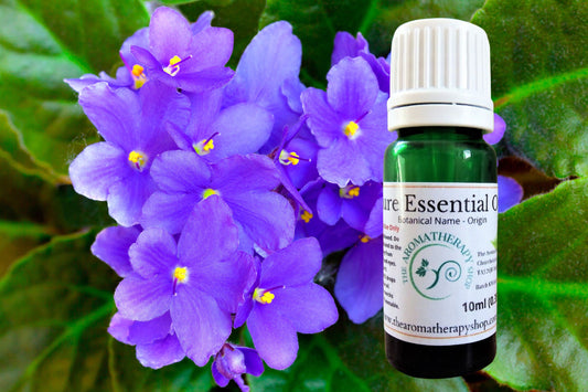 Violet Leaf Essential Oil / Origin Egypt