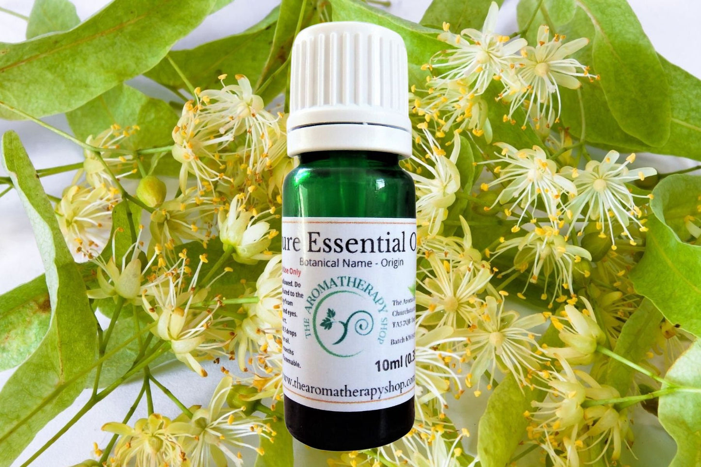Linden Blossom Essential Oil / Origin France