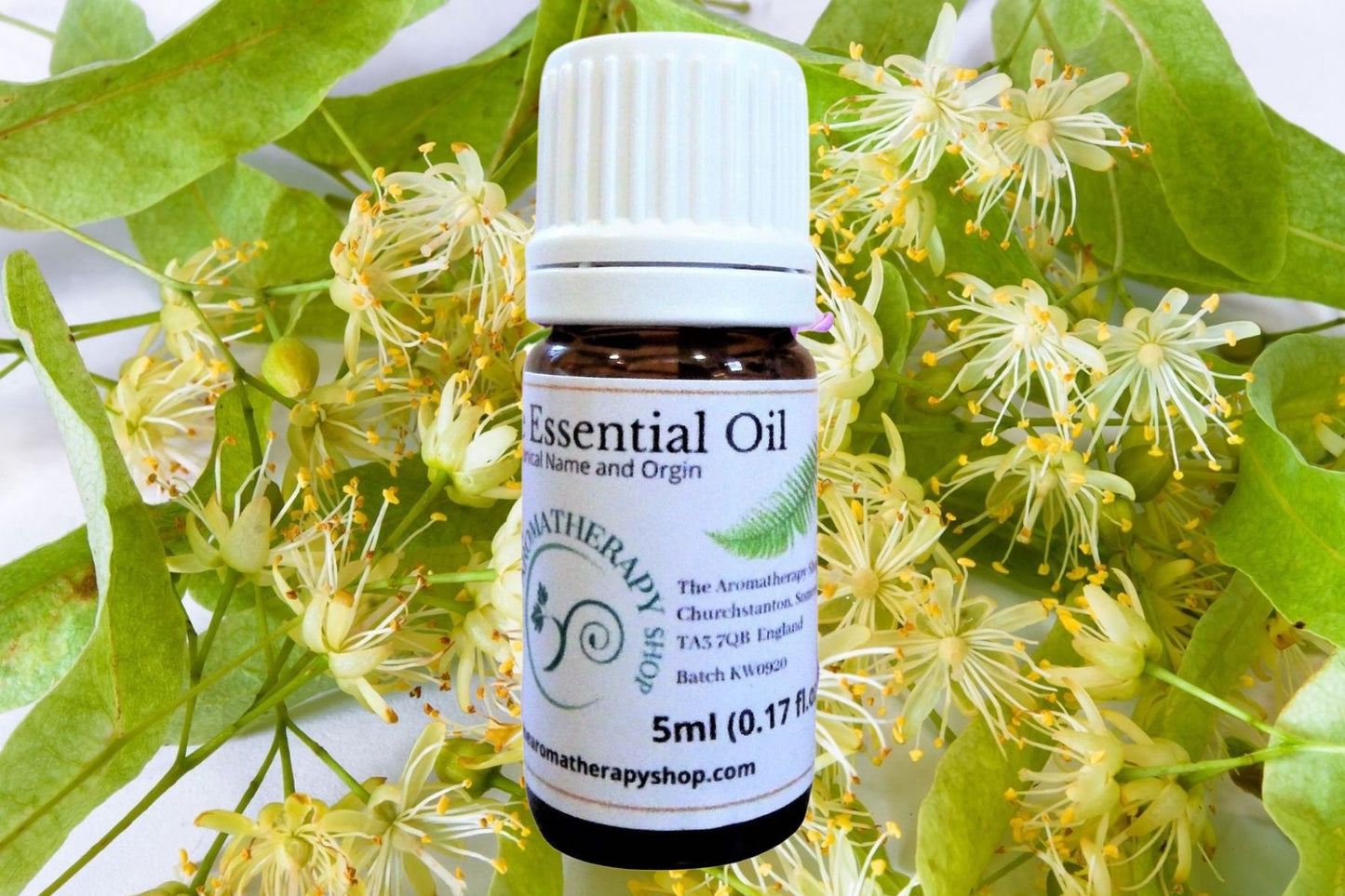Linden Blossom Essential Oil / Origin France