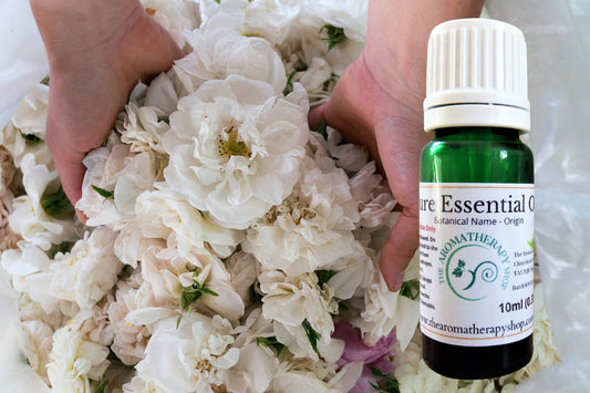 White Otto Essential Oil