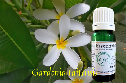 Gardenia of Tahiti Pure Essential Oil