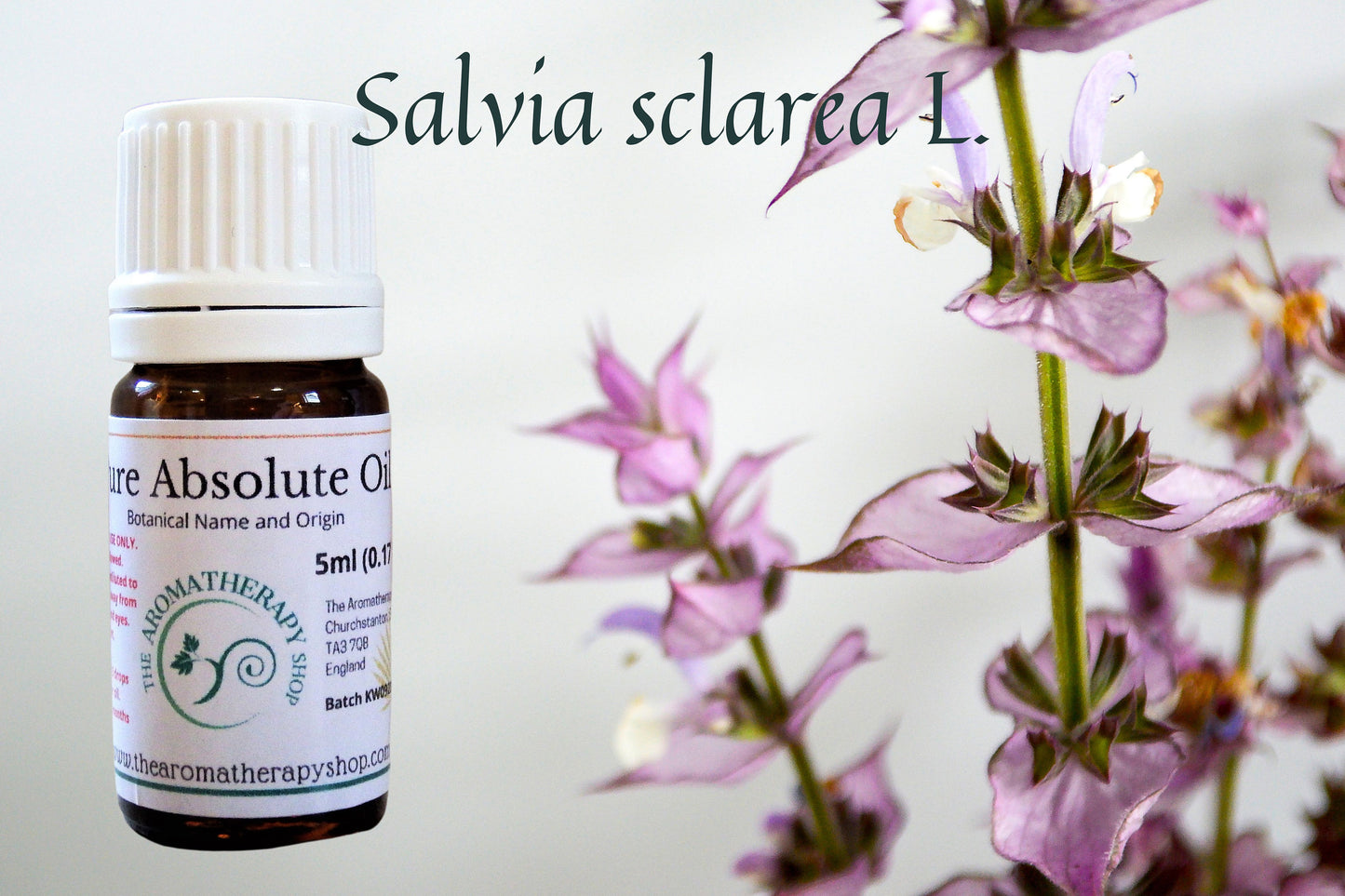 Clary Sage Absolute / Origin France