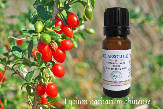 Goji Berry Absolute • Natural Extract From the Fruit • Premium Perfumery Oil • Artisan Botanical Absolute