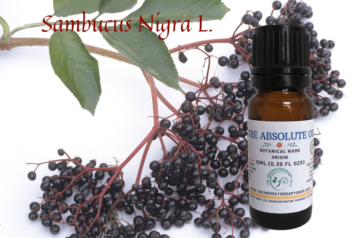 French Elderflower Absolute  / pourable liquid form in DPG