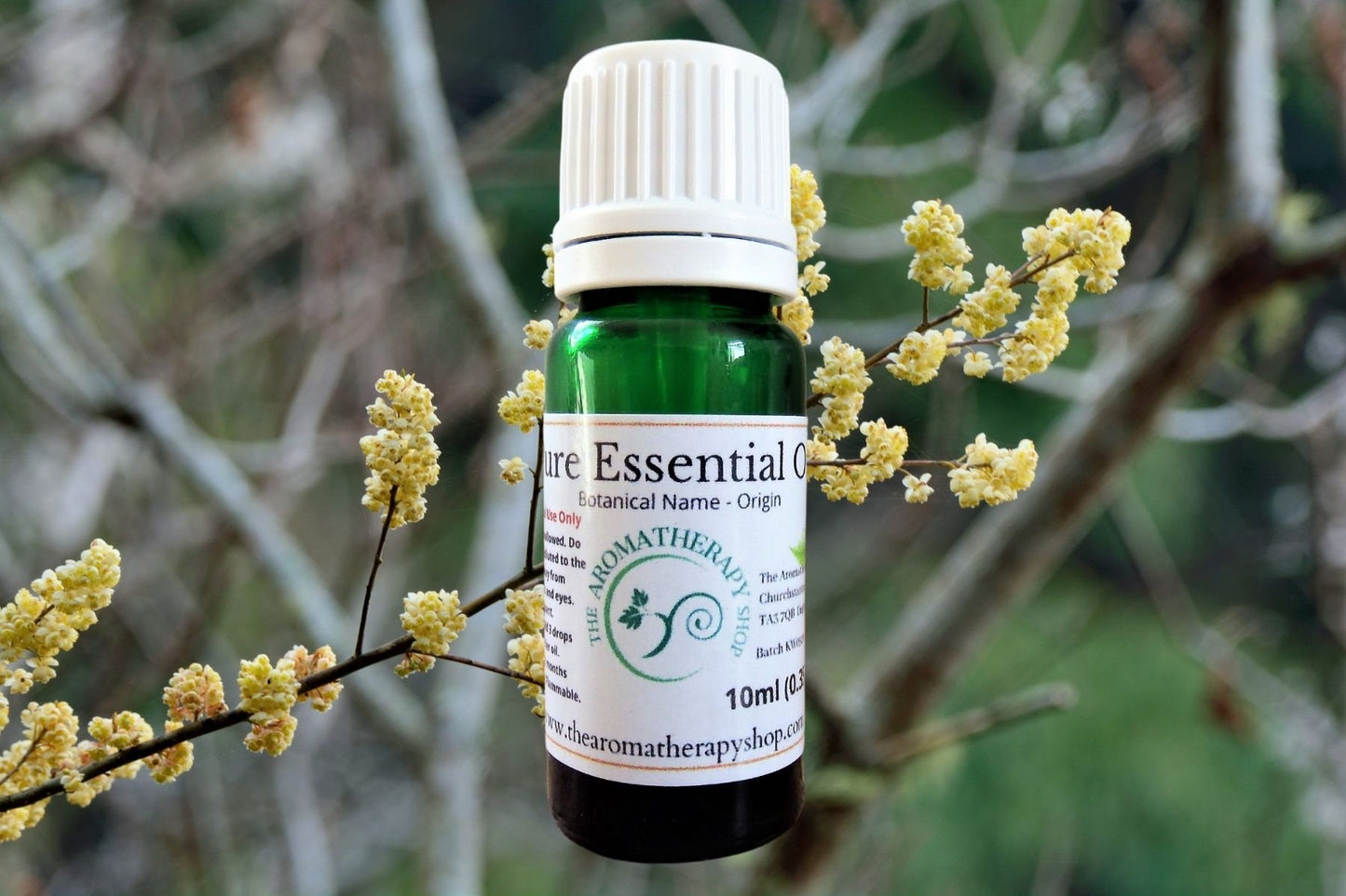 Litsea Cubeba Pure Essential Oil