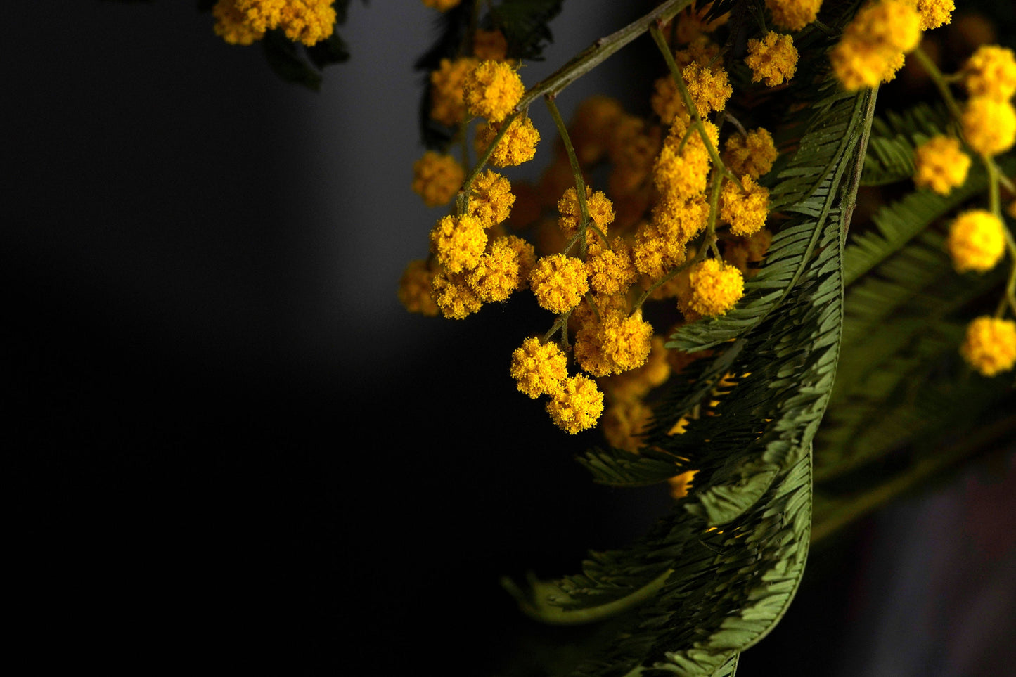 Fleur De Cassie Perfume Base / A captivating floral accord!