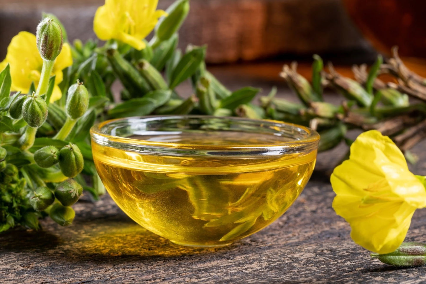 Evening Primrose Oil / Organic