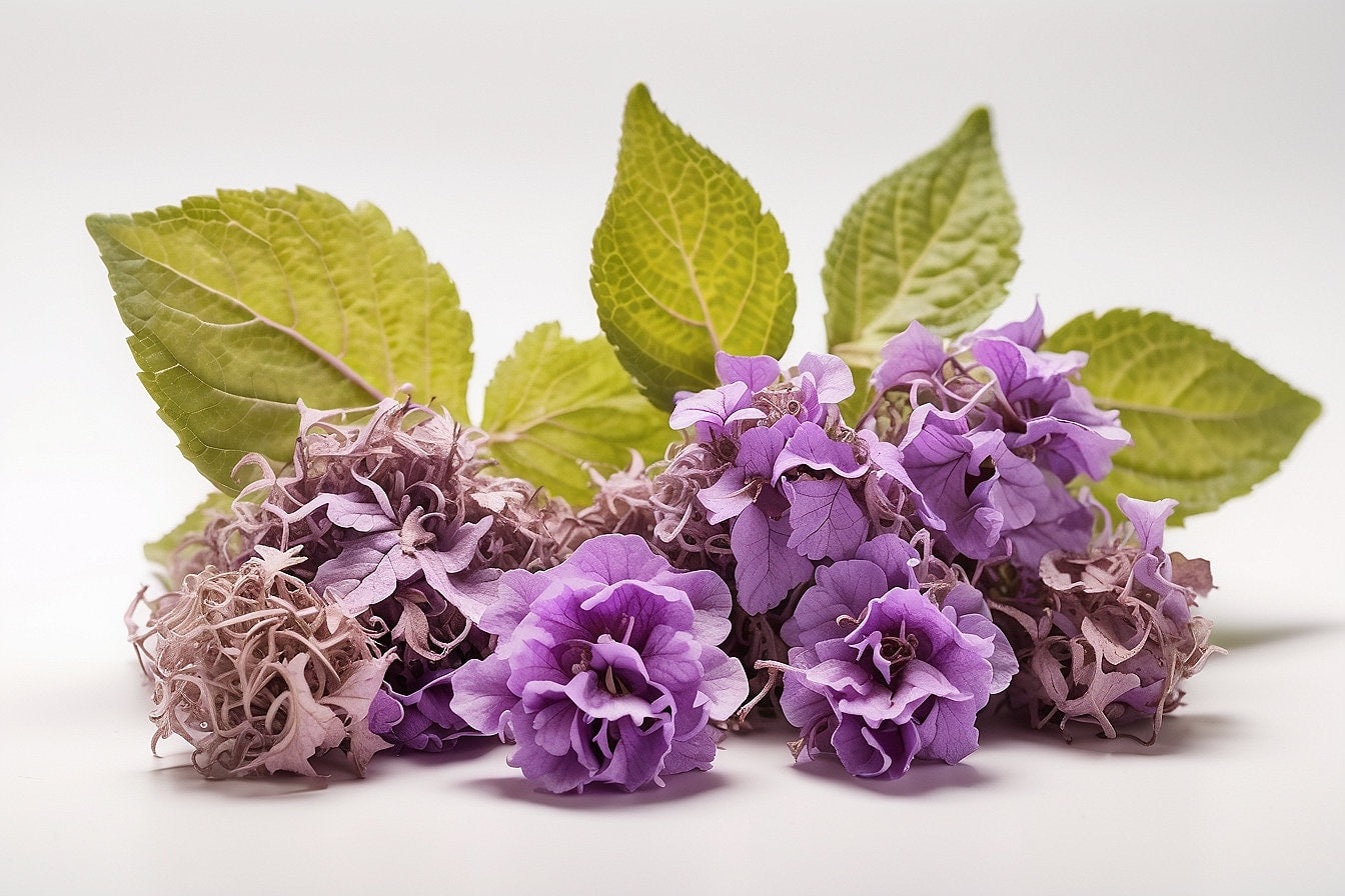 Patchouli Aroma Oil for Soaps, Candles, Lotions and Shampoos