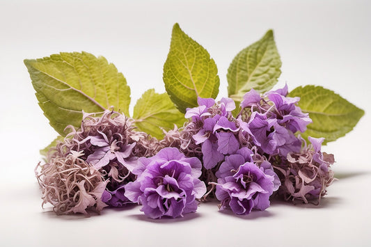 Patchouli Aroma Oil for Soaps, Candles, Lotions and Shampoos