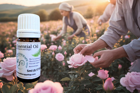 Bulgarian Rose Otto Pure Essential Oil  (Organic)