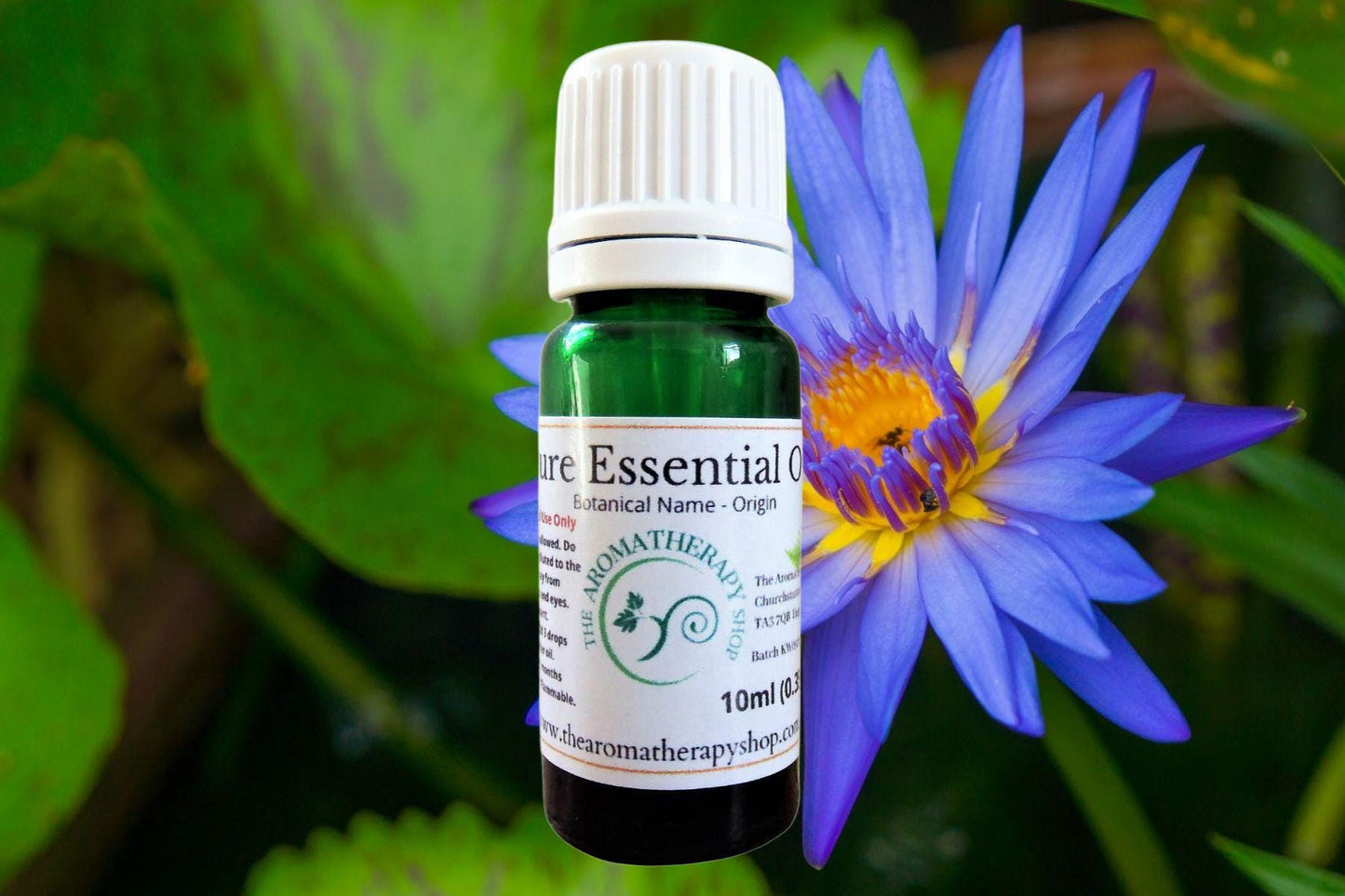Blue Lotus Essential Oil - Pure & Natural Steam Distilled Aromatherapy Oil - Calming, Soothing, Wellness