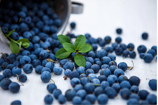 Blueberry Aroma Oil  for Soaps, Candles, Lotions and Shampoos