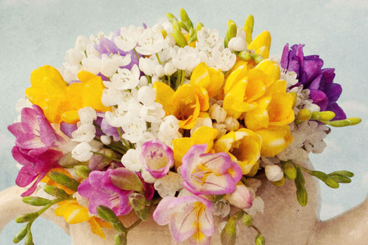 Freesia Aroma Oil for Soaps, Candles, Lotions and Shampoos