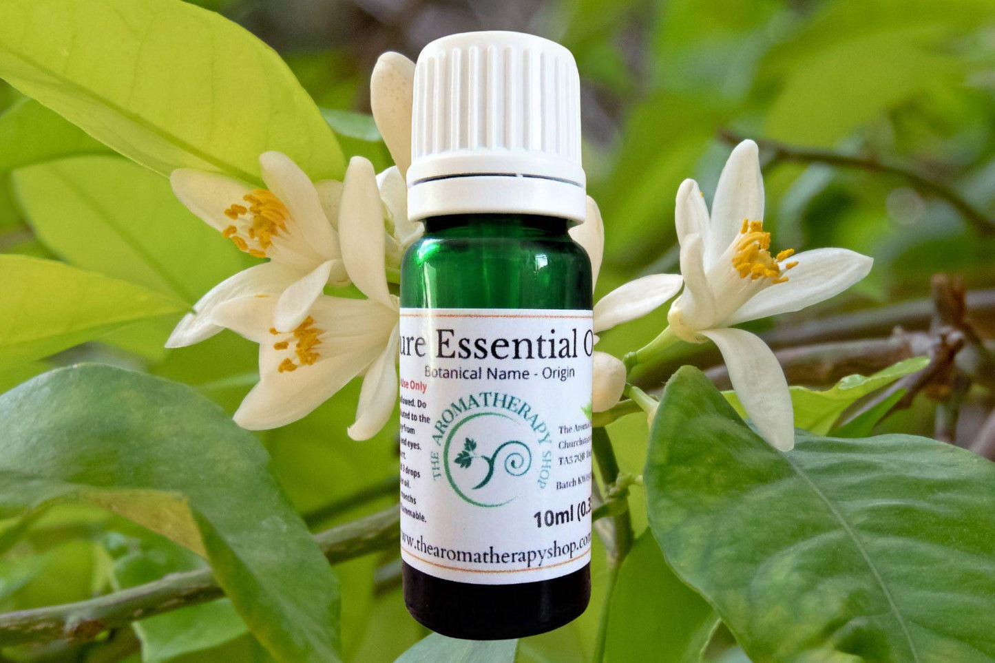 Orange Blossom Essential Oil