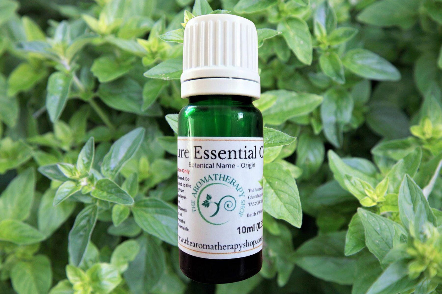 Oregano Essential Oil