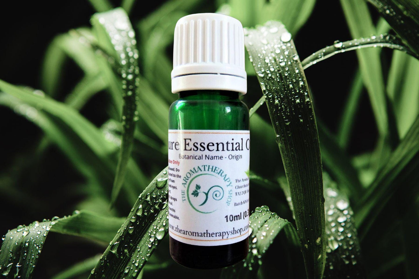 Bluegrass Essential Oil