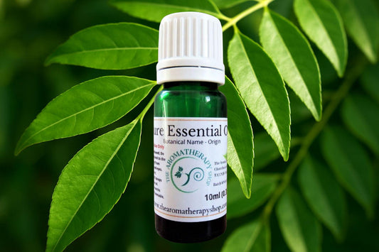 Curry Leaf Essential Oil