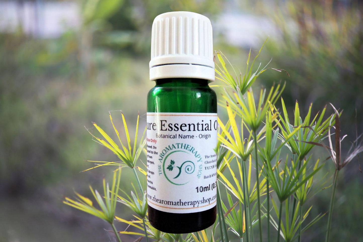 Brazilian Cypriol Essential Oil