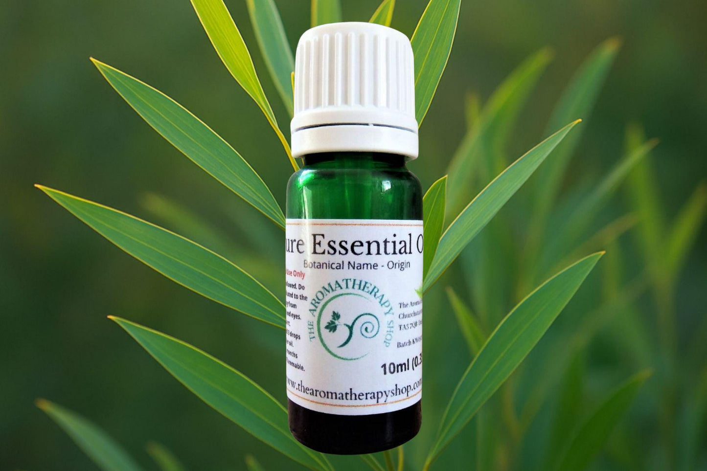 Eucalyptus Gully Gum Essential Oil
