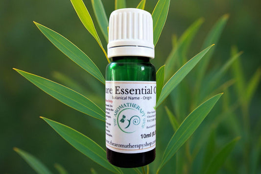 Eucalyptus Gully Gum Essential Oil