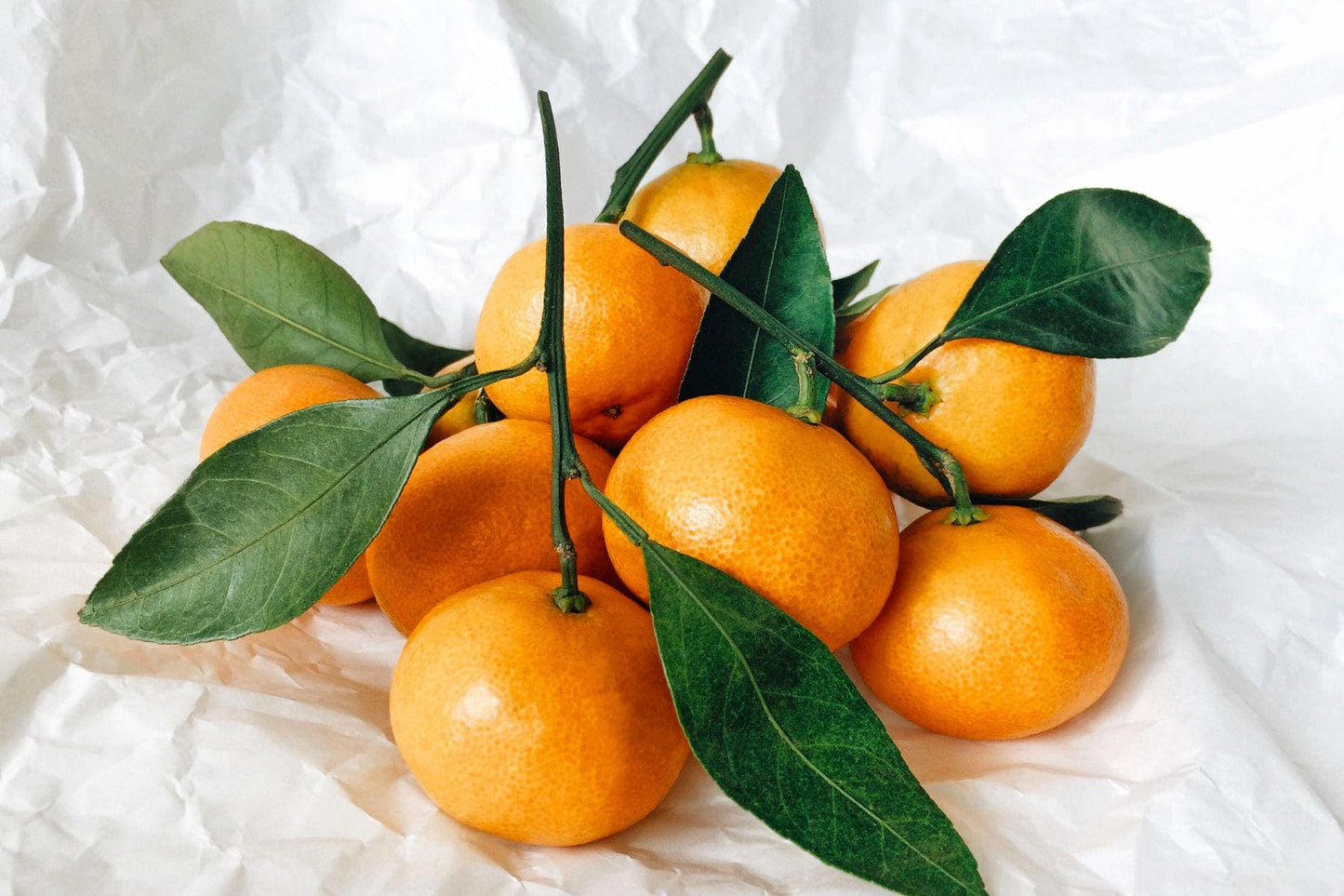 Tangerine Aroma Oil for Soaps, Candles, Lotions and Shampoos