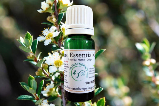 Lemon Tea Tree Essential Oil