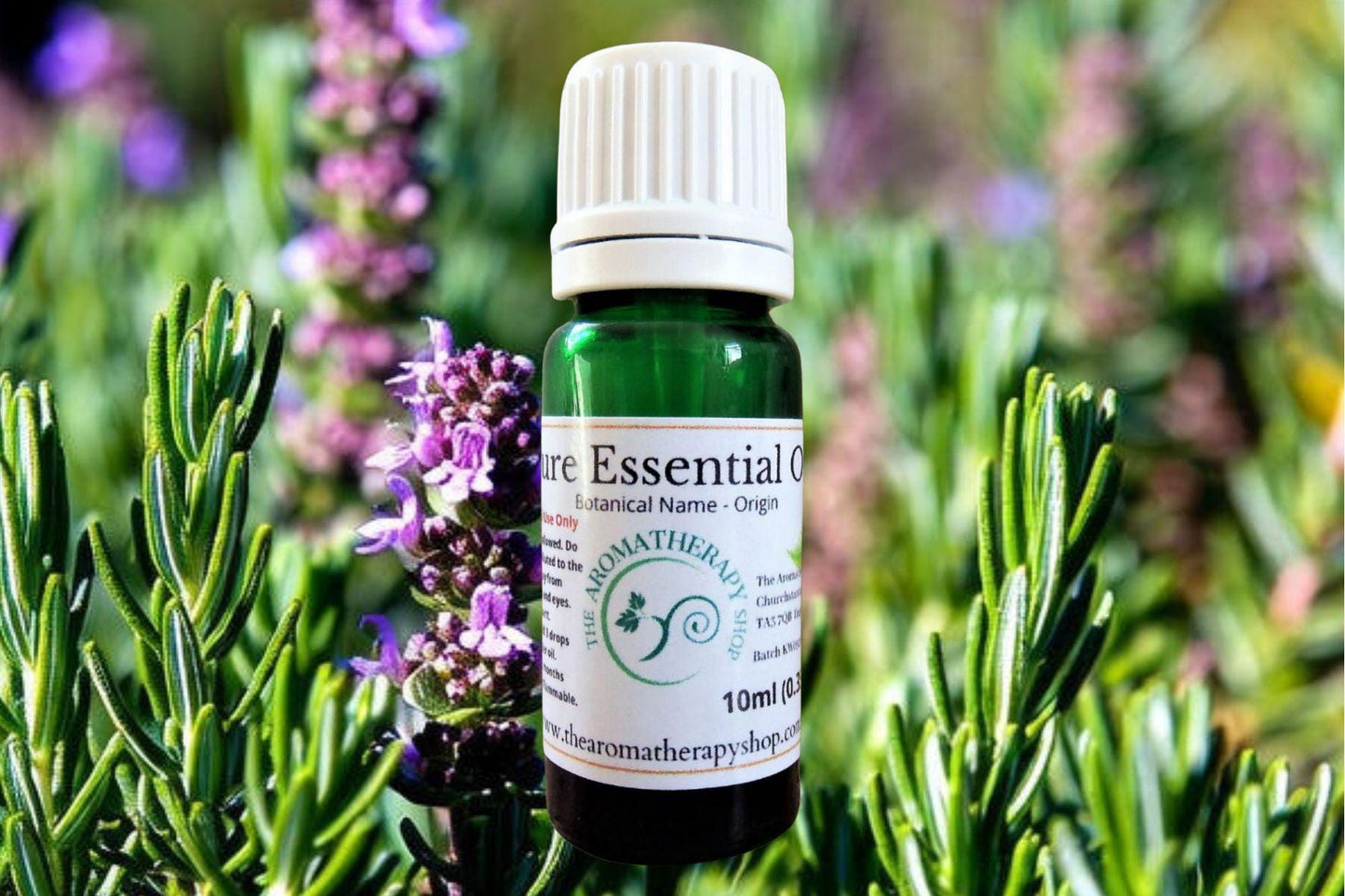 Lemon Thyme Essential Oil