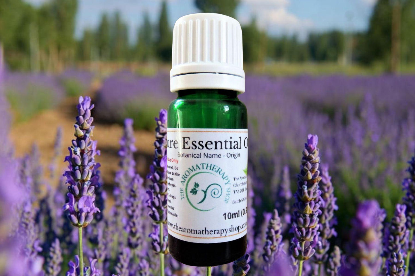 Lavender Kashmir Essential Oil