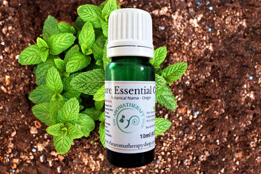 Nana Mint Essential Oil