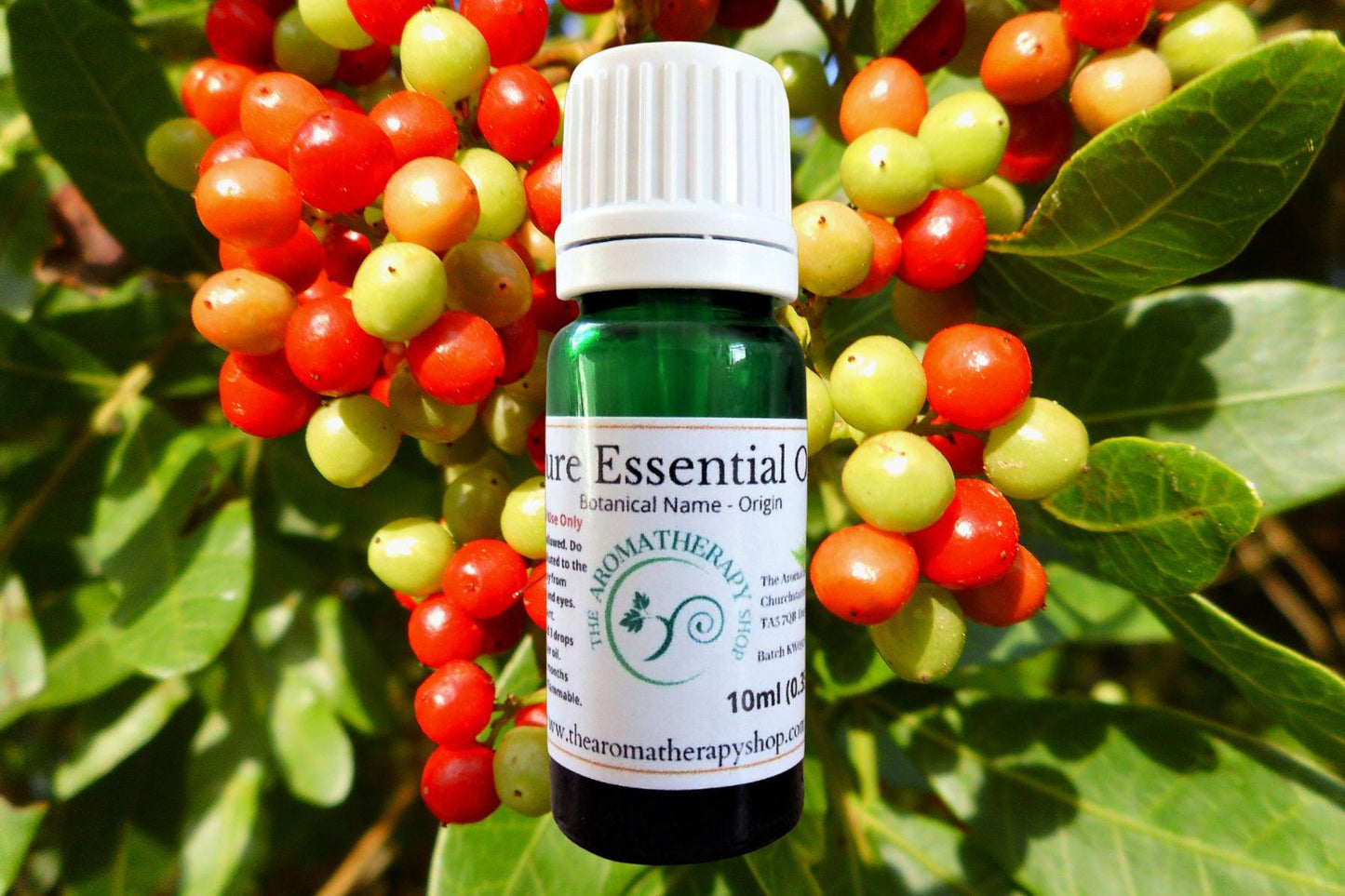 Wild Brazilian Pepper Essential Oil