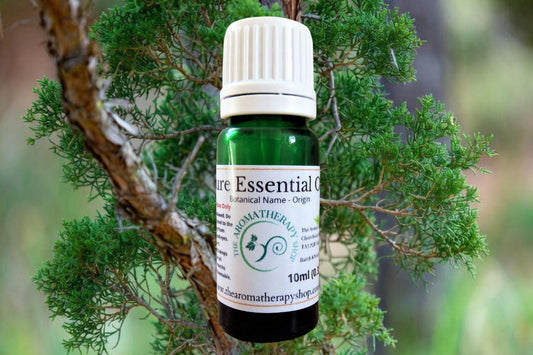 Texan Cedarwood Essential Oil