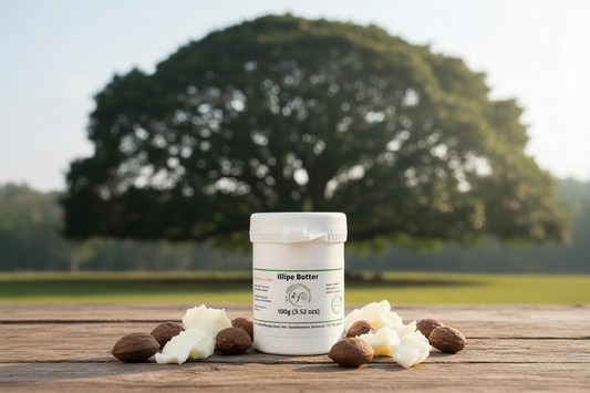 Illipe Butter 100g outdoor product photography with Borneo tree