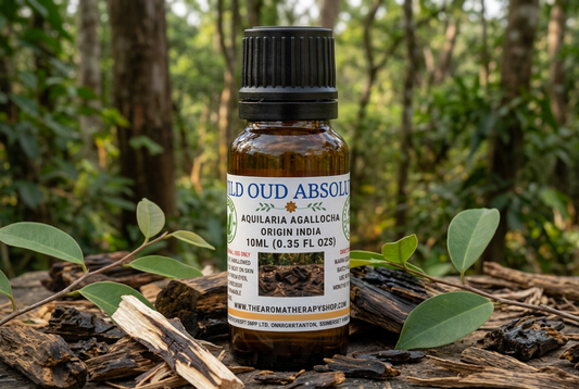Indian Wild Oud showcase