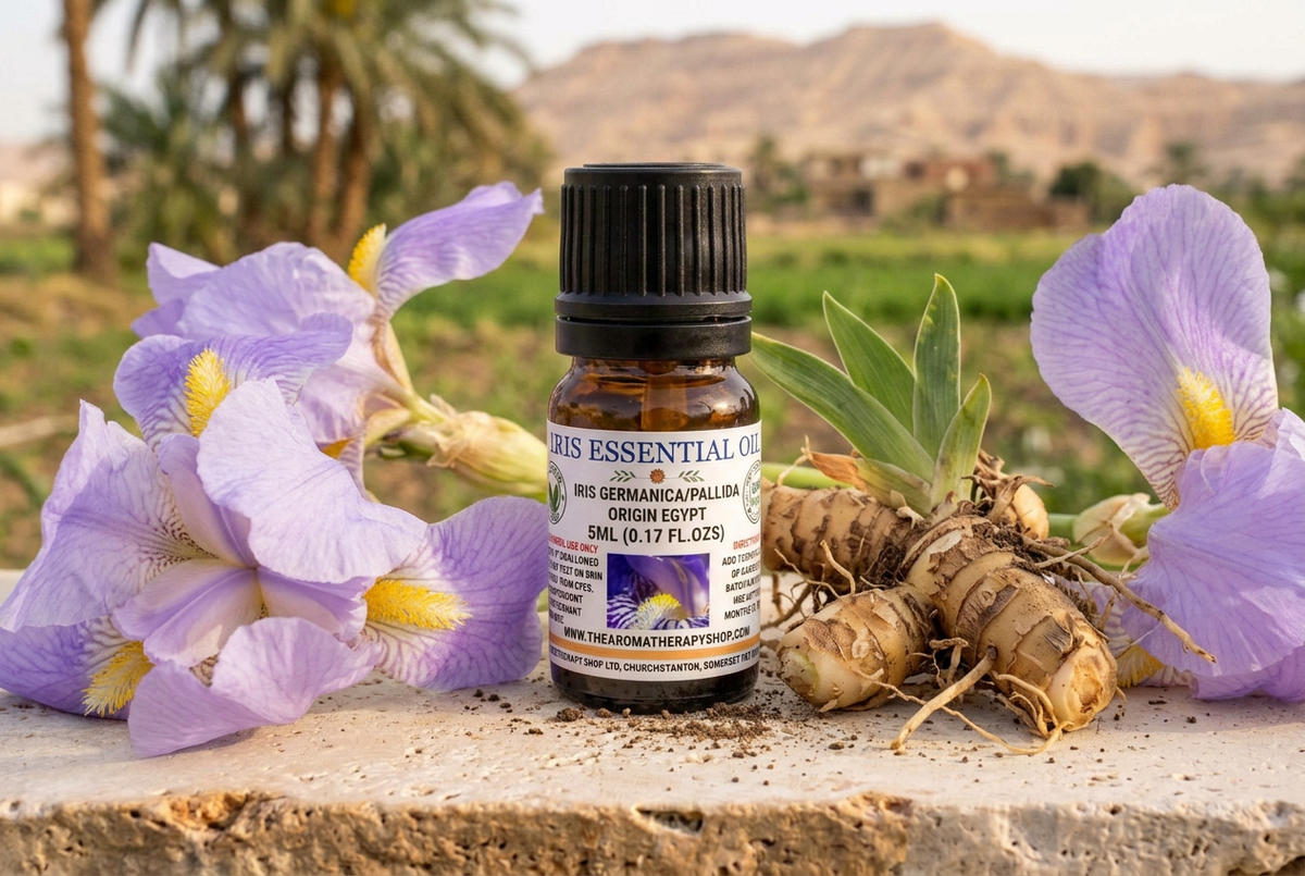Iris Essential Oil 5ml showcase with life-sized bearded iris blooms, rhizomes and roots in an Egyptian garden setting