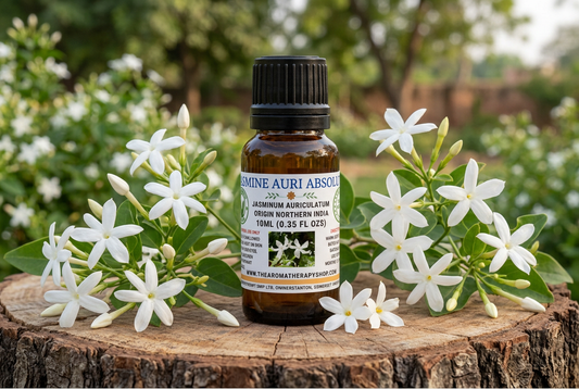 Jasmine Auri Absolute showcase in an Indian jasmine garden, with flowers scaled against the 10ml bottle