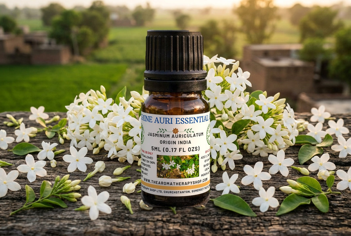 Jasmine Auri  Essential  Oil