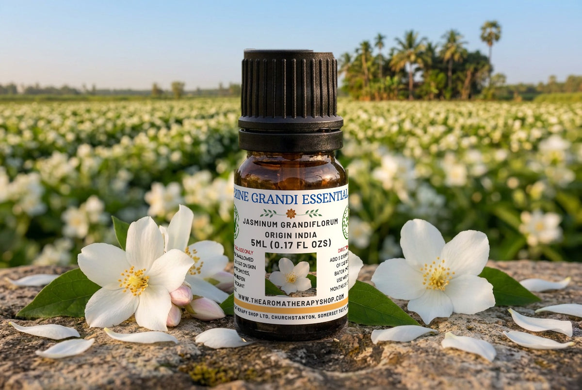 Jasmine Grandi Essential  Oil