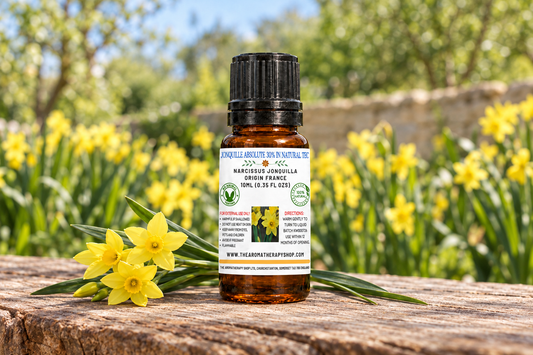 Jonquille Absolute showcase with your latest approved 10 ml amber bottle, yellow jonquils on weathered chestnut wood and a French spring garden backdrop