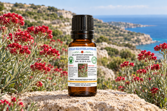 Judean Red Everlasting Oil 10ml showcase
